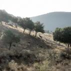 La Nava del Barranco.