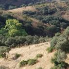 La Nava del Barranco.