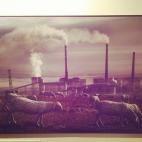 5c8b1be42400006c05a41adc