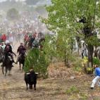 5c8b1ff822000031001a56d0