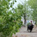 5c8b1ff82300005400e7a26d