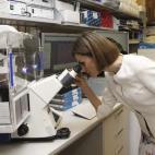 Martes, 16 de septiembre de 2015