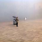 5c8ab5d63b000054066c6cb3