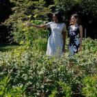 5c8aa38f2500000a0681722a