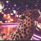 En un principio, sus dueños hicieron de Mogambo una sala de conciertos y ahora se asemeja más a una discoteca con sesiones de DJ en el que, mensualmente, se programan espectáculos de burlesque. La responsable es Miss Lacé, que ameniza alguno...