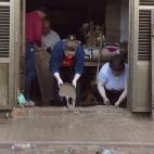 Los vecinos limpian su casa tras las inundaciones.