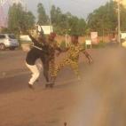 5c8b223b22000031001a5e21