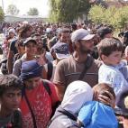 5c8aa3b32300007f01236750