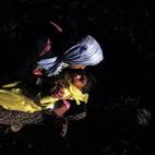 5c8aa3b620000043046f73ca