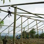 5c8a90122300005400e6b800