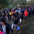 5c8a90153b000037066c2000