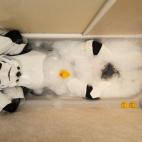 5c8a83872500000a06813ac5