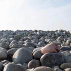 5c8b2d152300005300e7c2b0