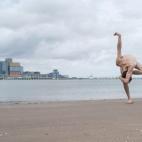 5c8b2d152000009d03705426