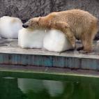 5c8a901b2400006c05a33b74