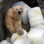 5c8a9024250000bd05814b50