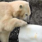 5c8a90252500005206814b52