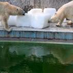 5c8a9025360000a61b6ba00a