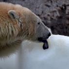 5c8a90262300002f00e6b810