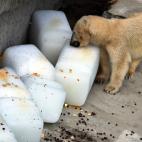 5c8a90272400000a05a33b7b