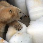 5c8a9027240000f404a33b7d