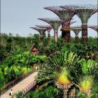 Los &aacute;rboles futuristas existen y se encuentran en este psicod&eacute;lico rinc&oacute;n. Entrar en &eacute;l es sumergirse en otro universo: un paisaje marciano donde confluyen todas las culturas que pueblan el pa&iacute;s. Adem&aacute;s ...