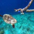 5c8b11363b000070066ce504