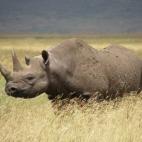 5c8b1f7b2300002f00e7a112