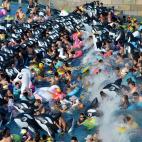 5c8a8bb9240000f404a335be