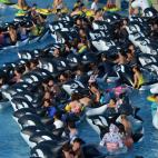 5c8a8bba240000f404a335c0