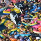 5c8a8bbd3b000072066c1b2e