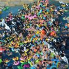 5c8a8bc0360000c81a6b9ad1