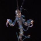 5c8b7038230000040124bb5f