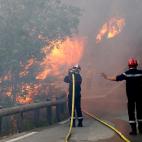 5c8a88cc2500005206814200