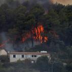 5c8a88cf20000043046f4534