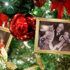 Fotos de John F. Kennedy y Franklin Roosevelt, en uno de los &aacute;rboles.