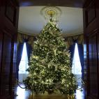 La Habitaci&oacute;n Azul, llena de palomas.