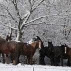 5c8b3f7e2300005300e7e7ca