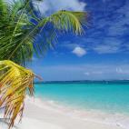 5c8aec243b000070066cc9e9