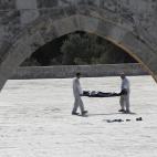 5c8a80ba2500000d04c91d02