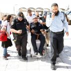 5c8a80c12500001304c91d0e