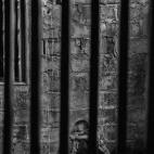 Primer premio Contemporary Issues (temas de actualidad), categoría series