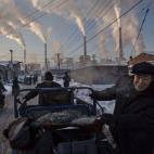 Primer premio Daily Life (vida cotidiana), categoría individual