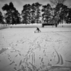 Primer premio Sports (deporte), categoría series