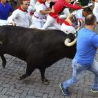 5c8af3f8230000040123f6db