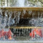 5c8b5eb9360000a61b6ce8e4