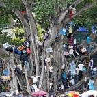 5c8b5ebb360000a61b6ce8eb