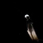 5c8b0d512500000704c9efca