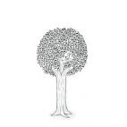 5c8b3d132300002f00e7e464