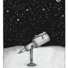 5c8b3d14230000dd04246e6d